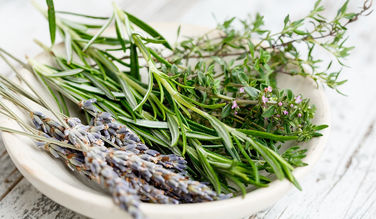 fresh picked herbs in a ceramic bowl on a table