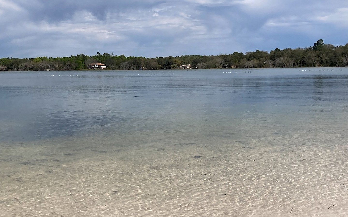 boat lake, shown from the shore, with homes in the far background