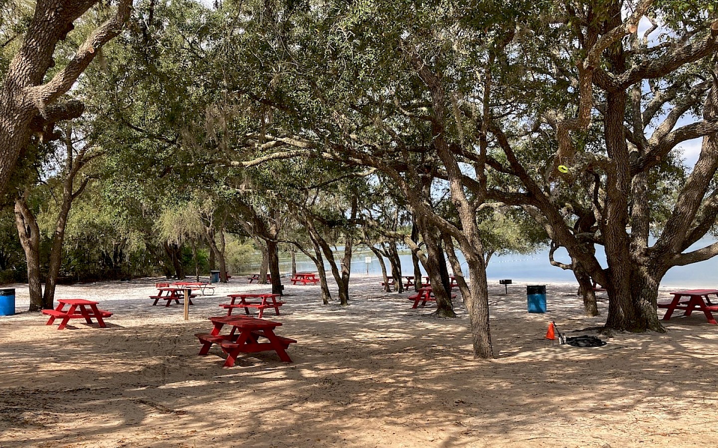 picnic tables and grills under a canopy of oak trees
