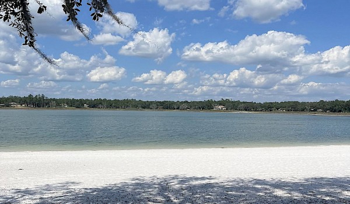 A beautiful sunny day at a sandhill lake with oak trees and picnic tables on the sandy beach